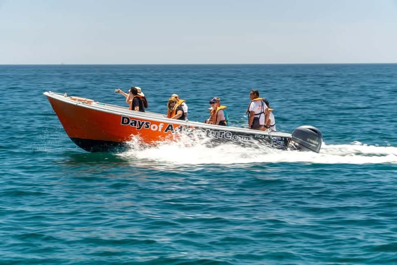 Lagos: Ponta da Piedade Caves Boat Tour - Timing Advice: When to Go for Comfort and Best Views