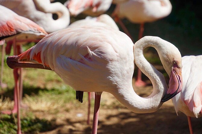 Lagos Zoo Admission Ticket - Key highlights to plan around