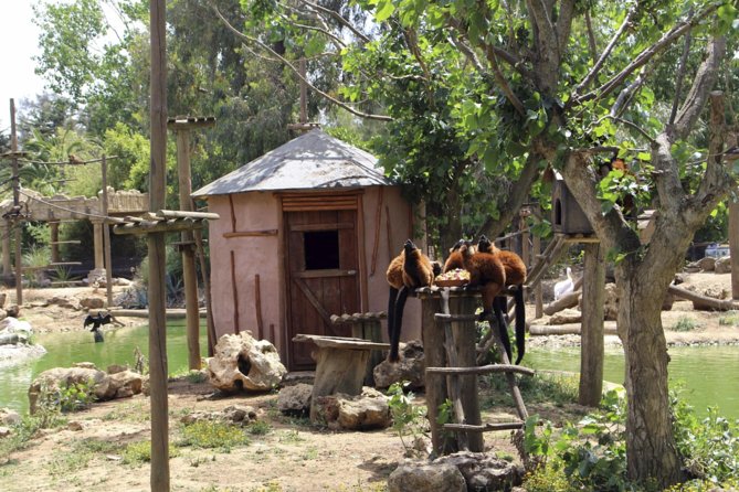 Lagos Zoo Admission Ticket - Price and value: how the ticket cost stacks up