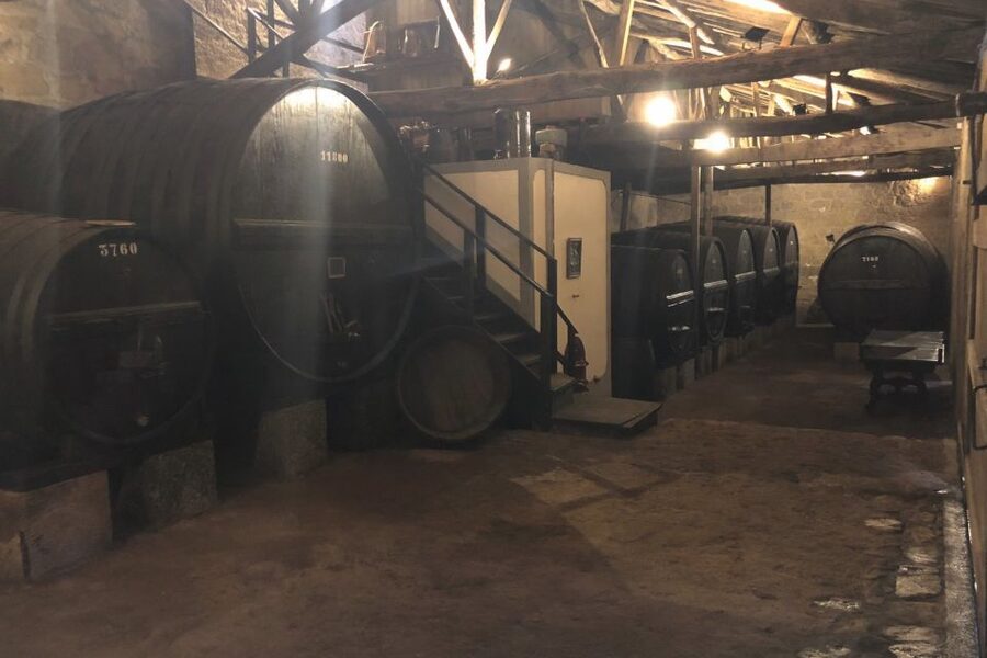 Lamego: Quinta da Portela de Baixo Winery Tour and Tasting - The Wine Cellar Museum: Two Centuries Under One Roof