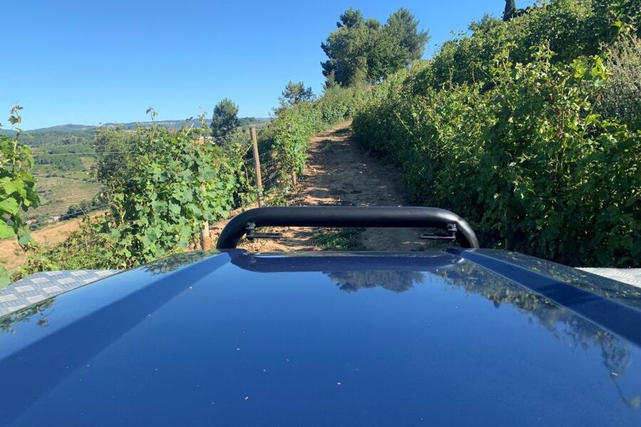 Lamego: Quinta da Portela de Baixo Winery Tour and Tasting - Vineyard Views and Optional Walks Across the Estate