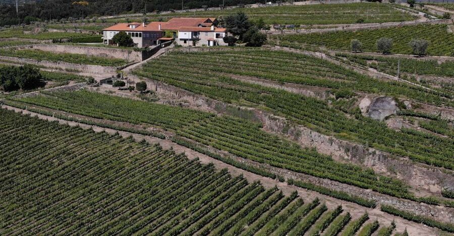 Lamego: Quinta da Portela de Baixo Winery Tour and Tasting - How Much Wine Education You Get (And What to Expect)