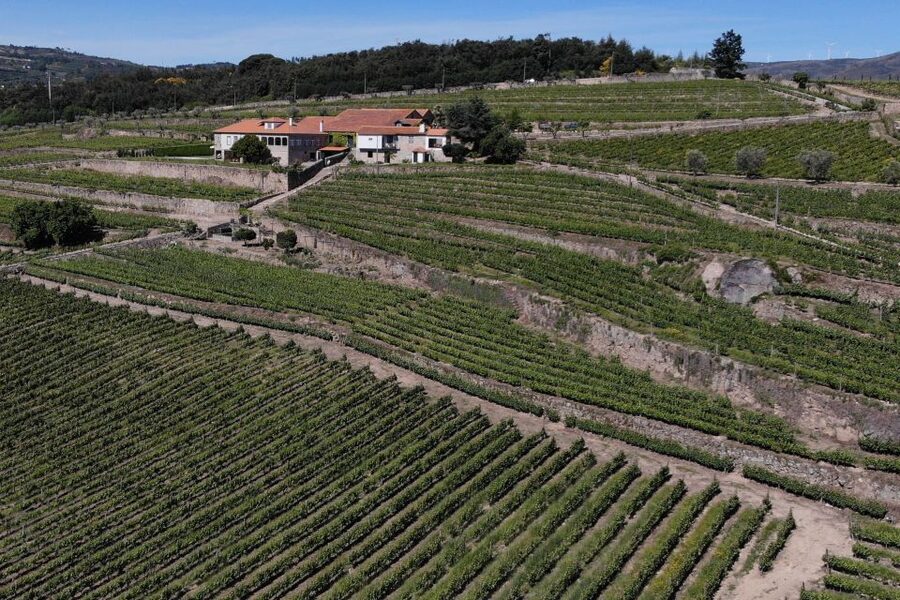 Lamego: Quinta da Portela de Baixo Winery Tour and Tasting - Who This Tour Fits Best, and Who Might Skip It
