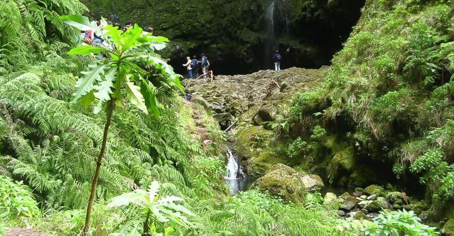 Levada Walk and Caldeirao Verde Waterfalls: Madeira - Key highlights you will actually care about