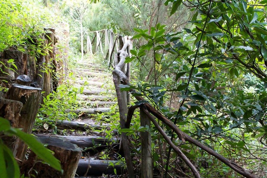 Levada Walk and Caldeirao Verde Waterfalls: Madeira - The tunnels: low ceilings, torch time, and how to avoid the “uh oh” moment