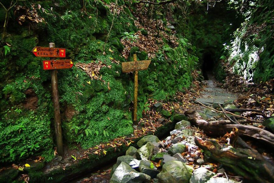Levada Walk and Caldeirao Verde Waterfalls: Madeira - Price and value: what $46 gets you, and what costs extra