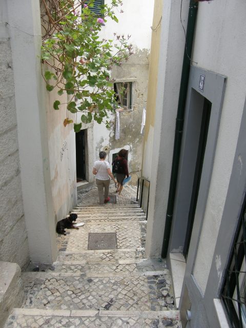Lisbon: Alfama and São Jorge Castle Quarters Walking Tour - Alfama’s Roman Olisipo layers, from salting tanks to thermal waters