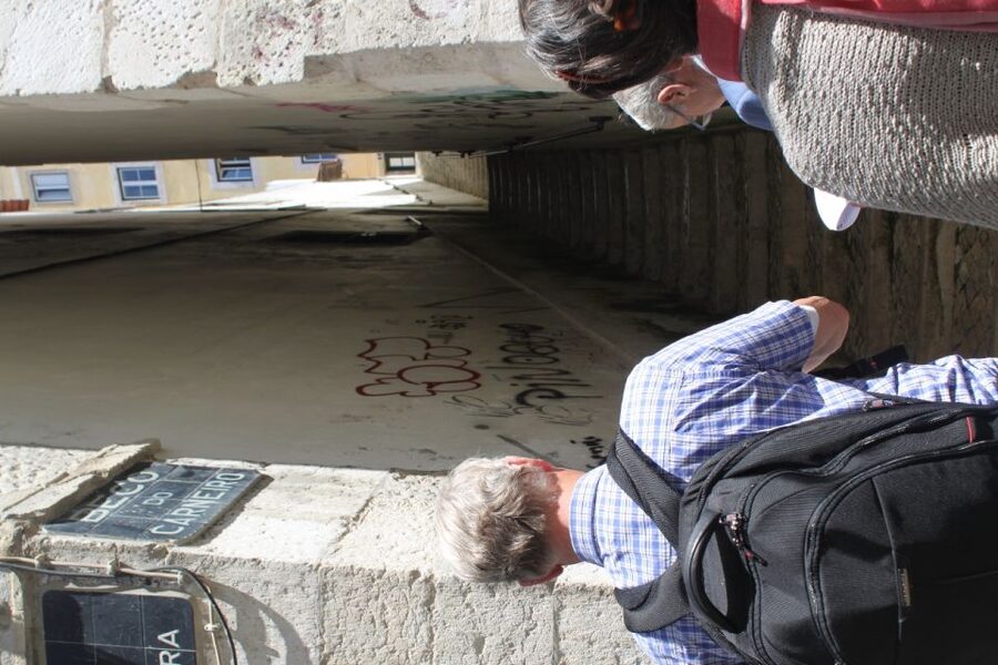 Lisbon: Alfama and São Jorge Castle Quarters Walking Tour - Price and value, including what’s covered and what you still need to pay
