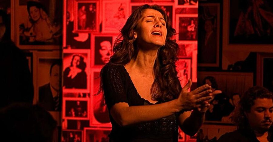 Lisbon: Alfama Tour and Live Fado with Traditional Dinner - Why Alfama and live Fado fit together so well