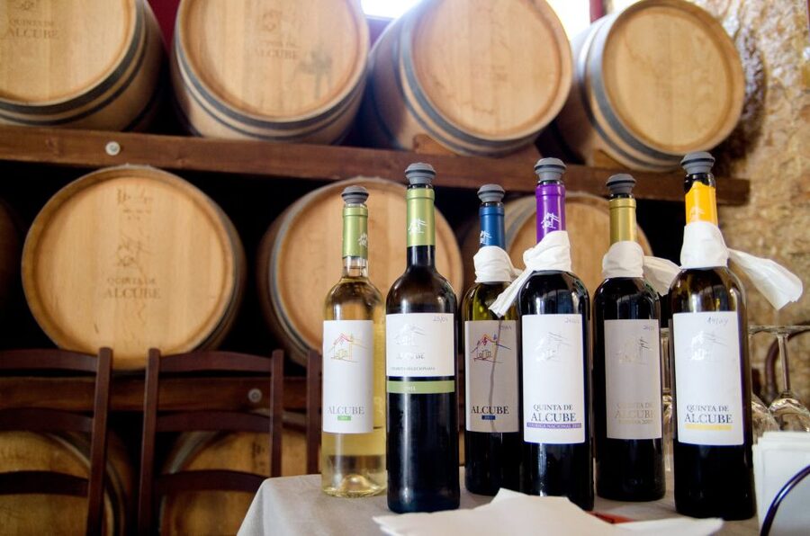 Lisbon: Arrábida and Sesimbra Day Trip with Wine - Small Tips That Make the Day Feel Effortless
