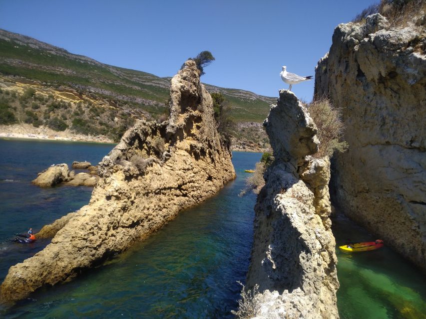 Lisbon: Arrábida Kayak and Coasteering Adventure Tour - Beach Picnic Lunch: the moment you stop working and start savoring