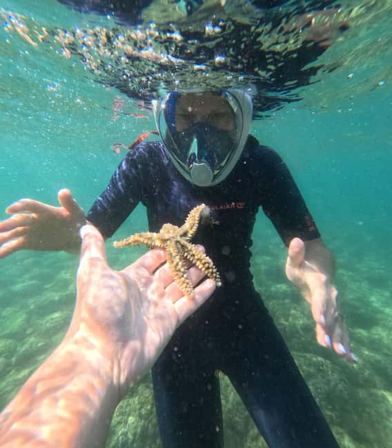 Lisbon: Arrábida Kayak & Wild Beach Snorkeling Pickup Option - Beach hut reset: drinks, coffee or toast, and why the stop matters