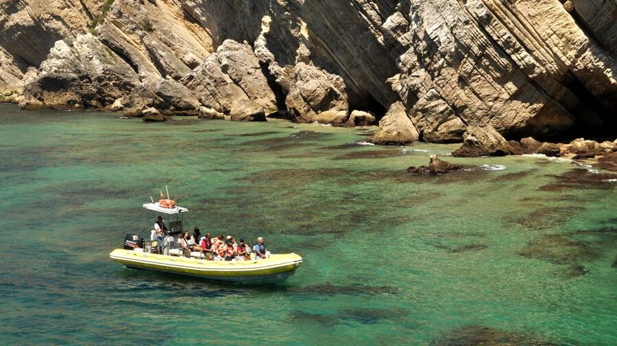 Lisbon: Arrábida Natural Park Dolphin Watching Boat Tour - What to bring so the day stays easy