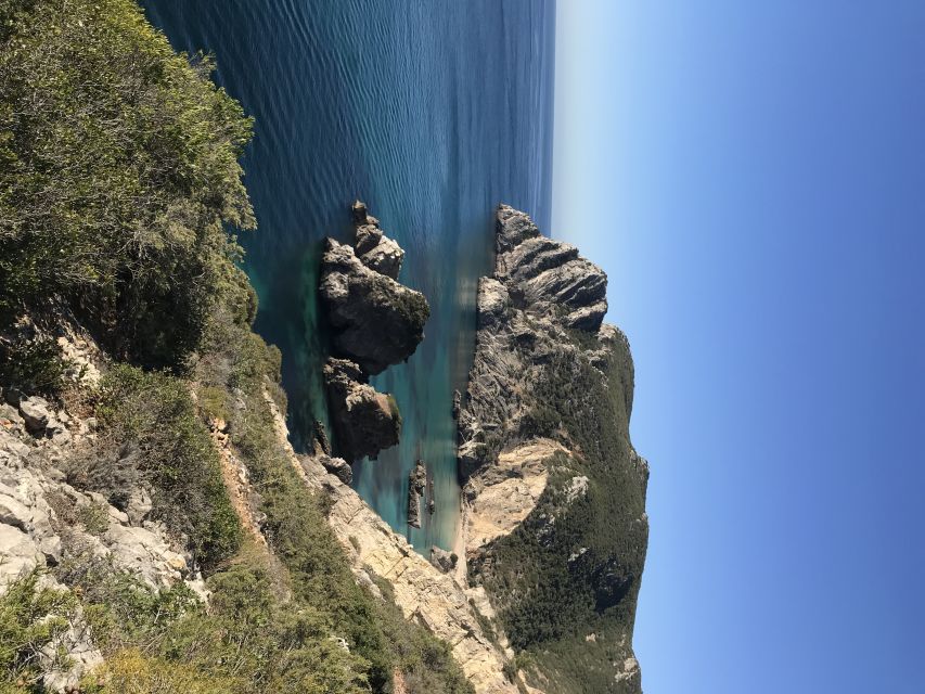 Lisbon: Arrabida Park Kayak Tour with Beach Picnic - How hard is it, and who it suits best