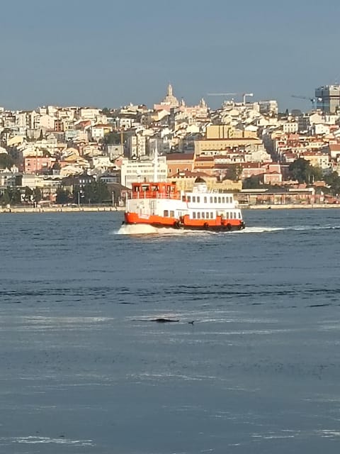 Lisbon: Belem, Jeronimos Monastery, and Coach Museum Tour - Price and Value: What $94 Really Buys You