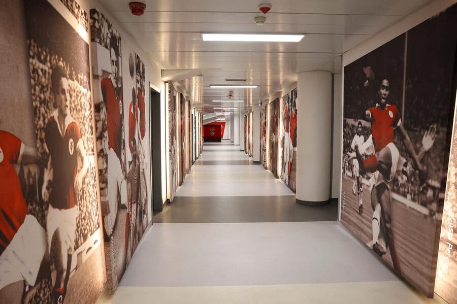 Lisbon: Benfica Luz Stadium Tour with Souvenir Scarf - What is included, and what is not