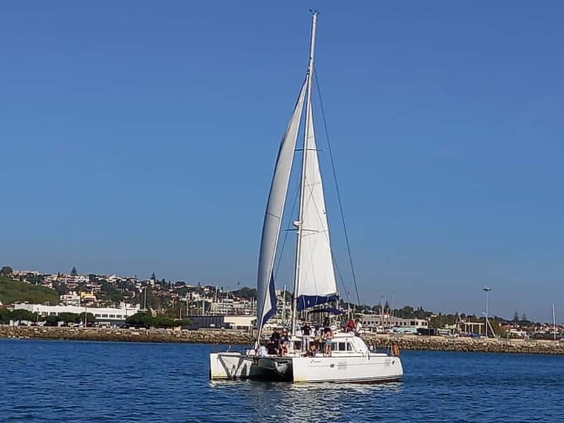 Lisbon: Catamaran Cruise with Drinks & Pastel de Nata - Christ the King, MAAT, and the Bridge Views That People Really Miss