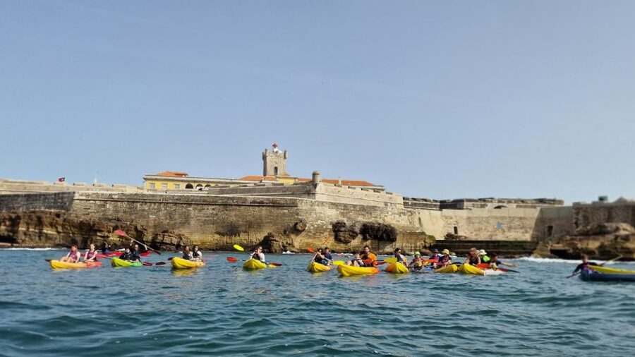 Lisbon: Coast Guided Kayak Tour - Key Points Before You Go