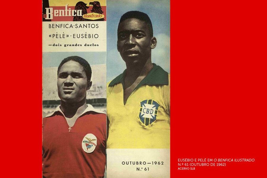 Lisbon: Customized Luz Stadium and Guided Museum Tour - Price and Value at $29 for Museum Plus Stadium Access