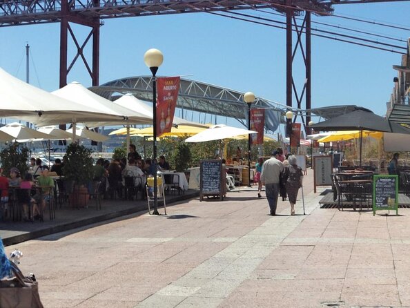 Lisbon: Dolphin Watching with a Marine Biologist - Ocean Safari - Key highlights at a glance