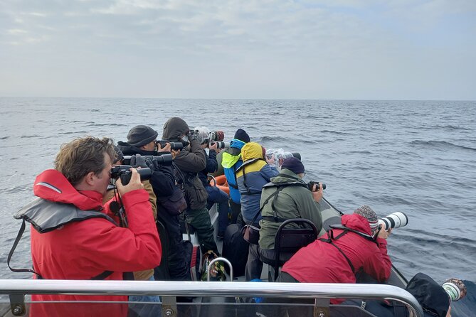 Lisbon: Dolphin Watching with a Marine Biologist - Ocean Safari - Stop 1: Docas de Santo Amaro, where the pace starts