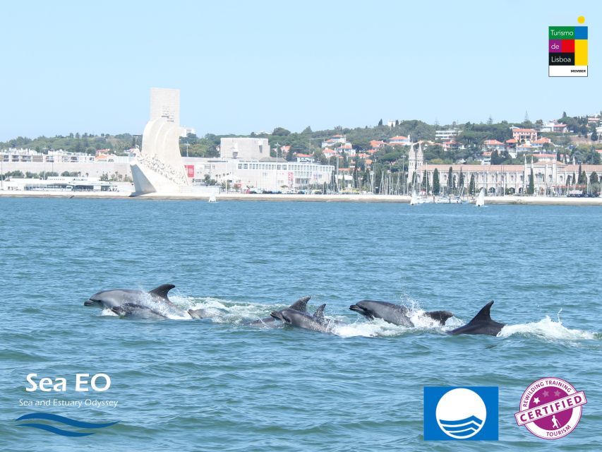 Lisbon: Dolphin Watching with Marine Biologist - Cascais waters and the “non-crowded” style of watching