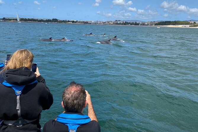 Lisbon: Dolphin Watching with Marine Biologist – Small Group - Meet at Terra Incógnita on Doca de Santo Amaro, Then Get Moving