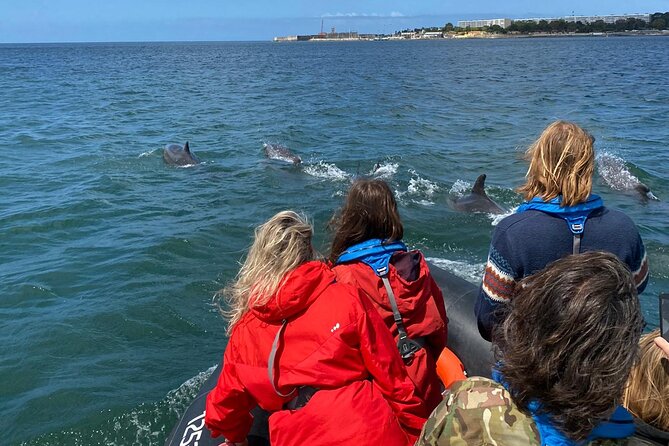 Lisbon: Dolphin Watching with Marine Biologist – Small Group - Lisbon From Water: Your Sightseeing Boost Without the Sightseeing Lines