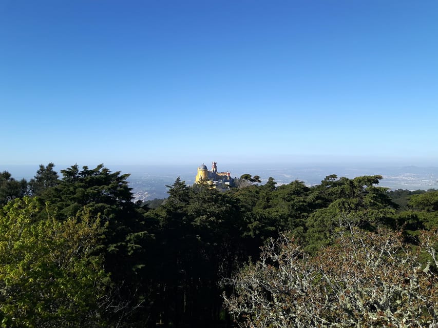 Lisbon: Half-Day Sintra Tour with Pena Palace and Regaleira - When the Guide Is Strong, the Day Feels Personal