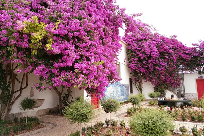 Lisbon Highlights - Private Tour with Van and Local Guide - Price and value, what $128.49 per person really buys you