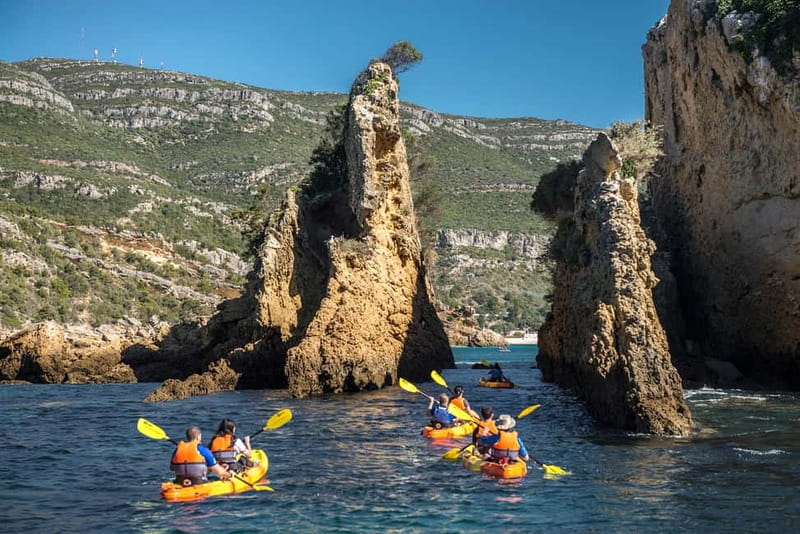 Lisbon: Kayak Tour Arrábida Natural Park, Setubal, Sesimbra - Anicha Island Stop: Marine Wildlife Up Close Without the Chaos