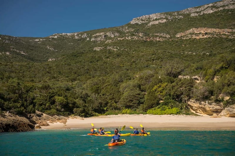 Lisbon: Kayak Tour Arrábida Natural Park, Setubal, Sesimbra - Photos, Cookies, and the Little Extras That Make It Feel Finished