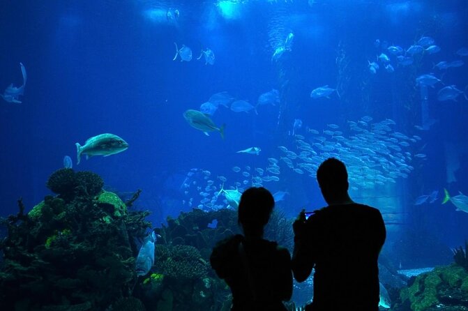 Lisbon Oceanario: Aquarium Entrance Ticket - The main event: that 5-million-liter central tank