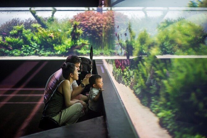 Lisbon Oceanario: Aquarium Entrance Ticket - Art-led immersion: Forests Underwater and Submerged Universe