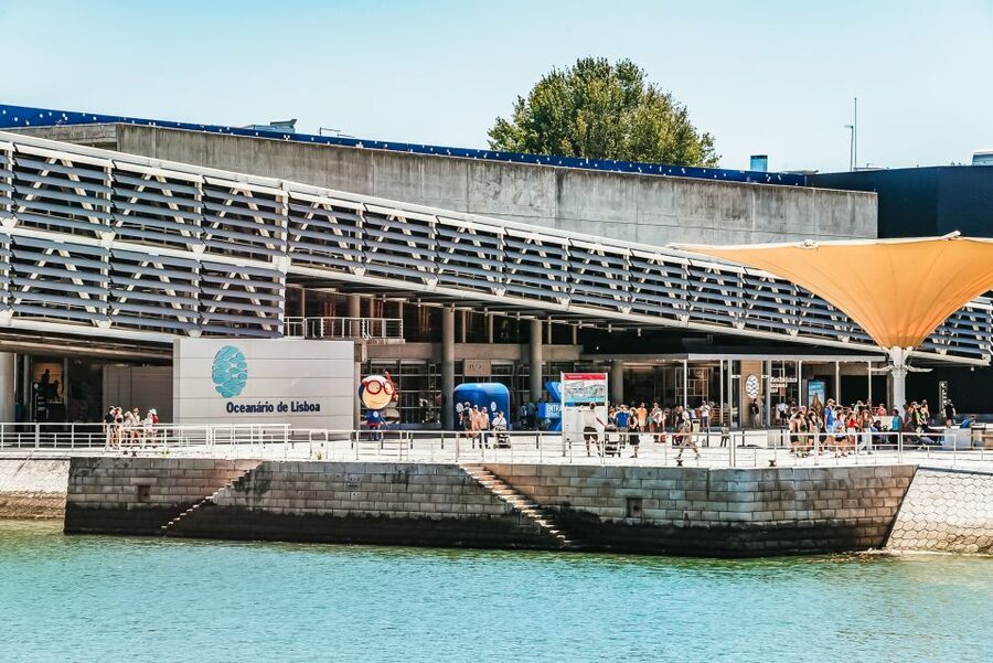 Lisbon: Oceanário de Lisboa Entrance Ticket - Temporary exhibitions: the bonus that makes a return visit tempting