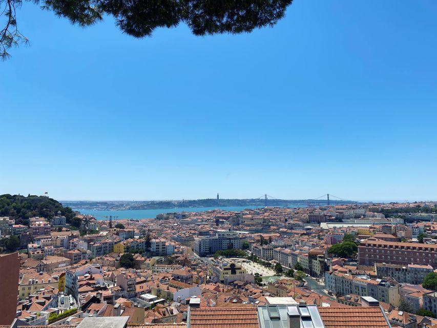 Lisbon: Private City Sightseeing Tour by Tuk-Tuk - Senhora do Monte and São Vicente de Fora: The Story Behind the Scenery