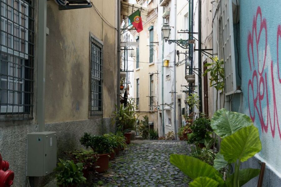 Lisbon: Private City Tour by Eco Tuk Tuk - Meeting point, cruise port drop-off, and why you should plan your approach