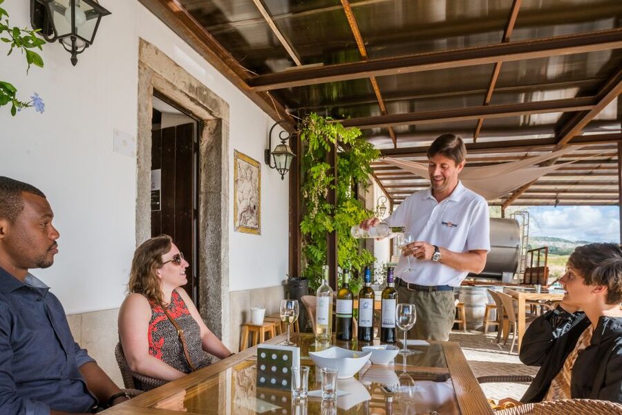 Lisbon Private Setúbal Region Wine Tasting Tour - Key highlights worth clearing your calendar for