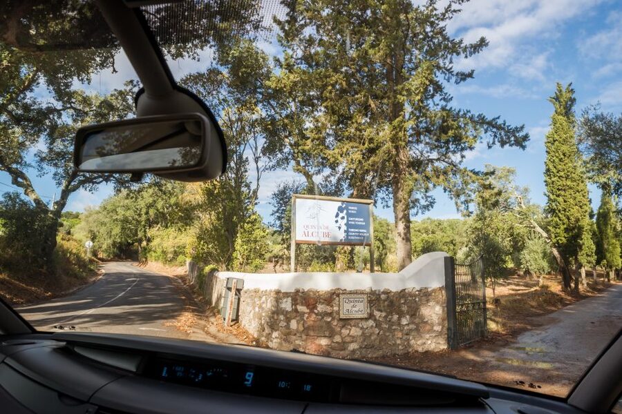 Lisbon Private Setúbal Region Wine Tasting Tour - A 6-hour Setúbal wine day that trades crowds for conversations