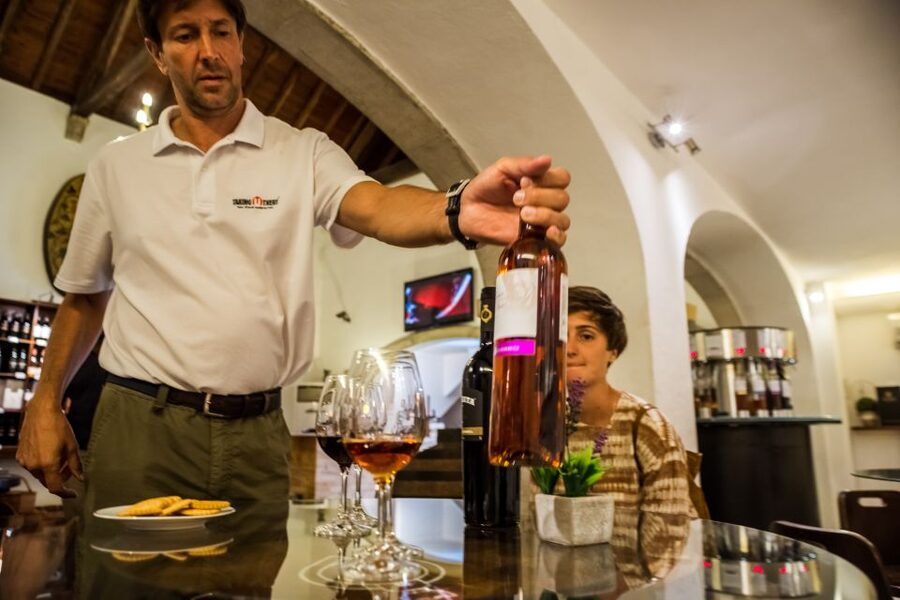 Lisbon Private Setúbal Region Wine Tasting Tour - José Maria da Fonseca: the anchor stop you’ll always get