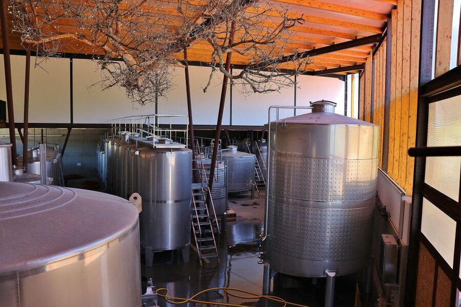 Lisbon Private Setúbal Region Wine Tasting Tour - How Azeitão, Palmela, and Setúbal show up in the wine cellar lineup