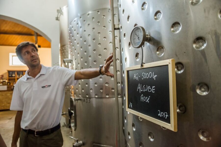 Lisbon Private Setúbal Region Wine Tasting Tour - Your private guide: pacing, personality, and getting your questions answered