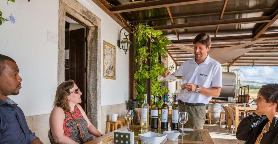 Lisbon Private Setúbal Region Wine Tasting Tour - Choose your day: 2 wineries with lunch, or 3 wineries with cheese and more tastings