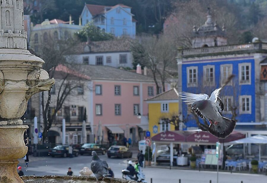 Lisbon: Sintra, Pena Palace, Quinta Regaleira, Cascais Tour - Sintra village time for lunch, coffee, and your own pace