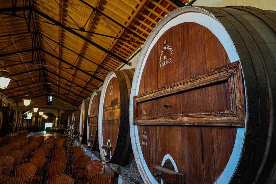 Lisbon: Sintra, Pena Palace & Wine Tasting Small-Group Tour - Sintra Historic Center: 90 Minutes to Get Your Bearings