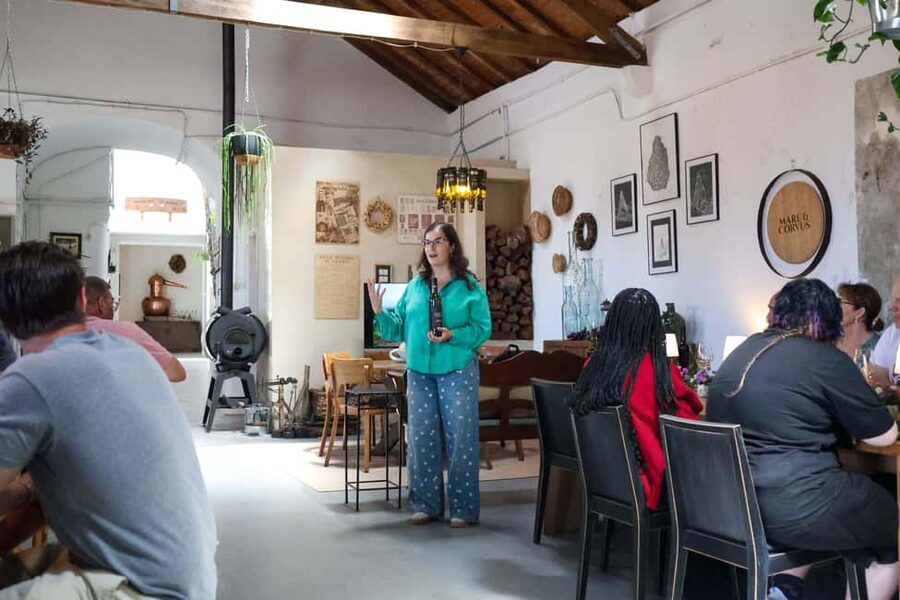 Lisbon: Sintra, Pena Palace & Wine Tasting Small-Group Tour - Cascais Free Time: A Seaside Break That Doesn’t Take Over Your Whole Day