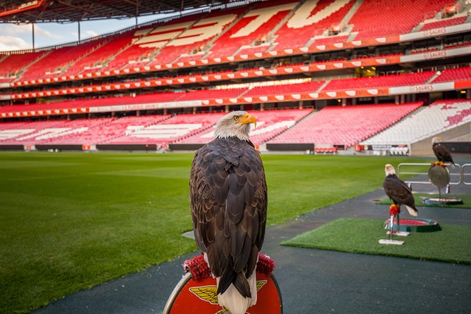Lisbon SL Benfica Stadium & Museum Tour with Scarf - Where the official merch and included scarf fit into the value