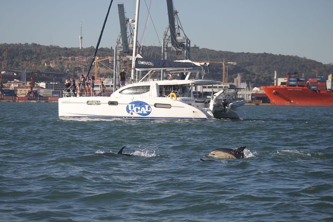 Lisbon: Sunset Cruise With Drinks on Spacious Yacht - The Catamaran Layout: Open Deck Time Plus Space to Move
