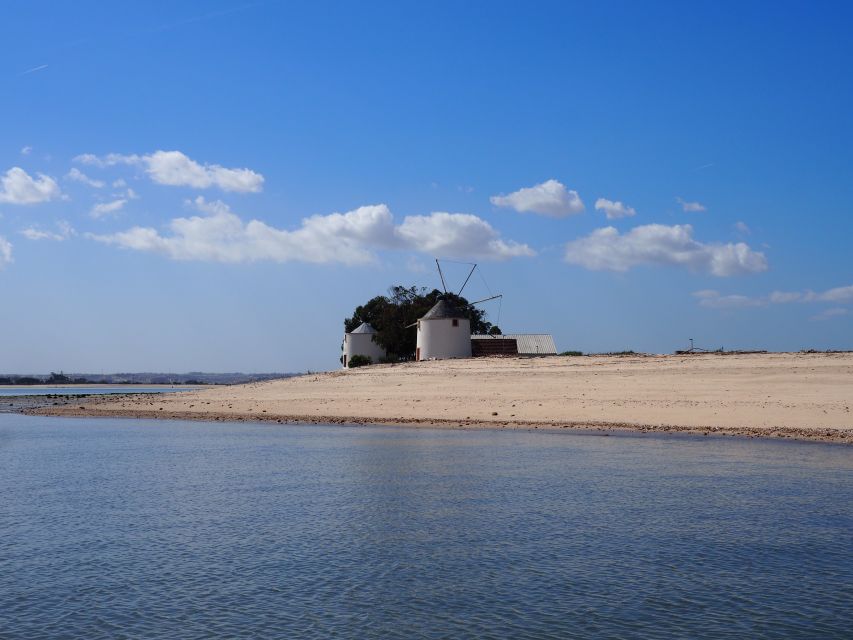 Lisbon: Tagus Estuary Nature Reserve Birdwatching Boat Tour - Why the Tagus Estuary Bird Tour Feels Like a Nature Show Near Lisbon