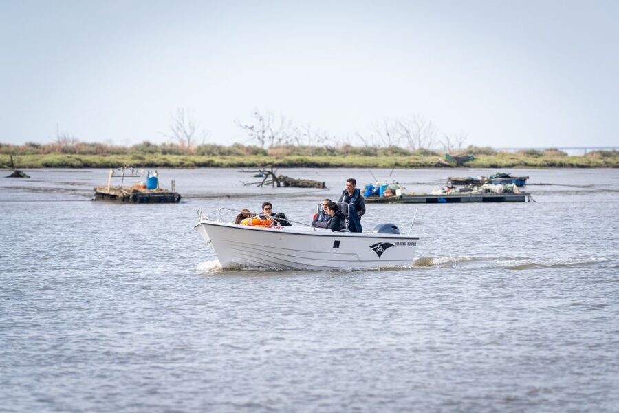 Lisbon: Tagus Estuary Nature Reserve Birdwatching Boat Tour - Best Time to Go and How Weather Changes What You See